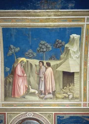 Joachim unter den Hirten, ca. 1305 (Detail)